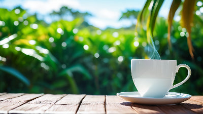 Discover Ginger Paw Paw Tea: Your New Secret to Boosting Immunity and Digestion - Island Wellness Tea